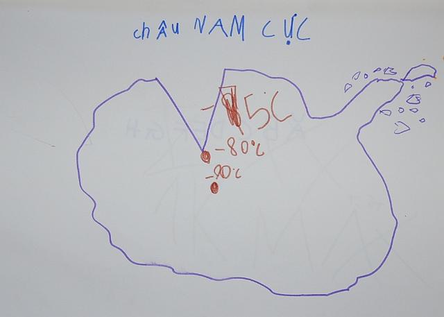 Chau Nam cuc lanh lam me a.JPG